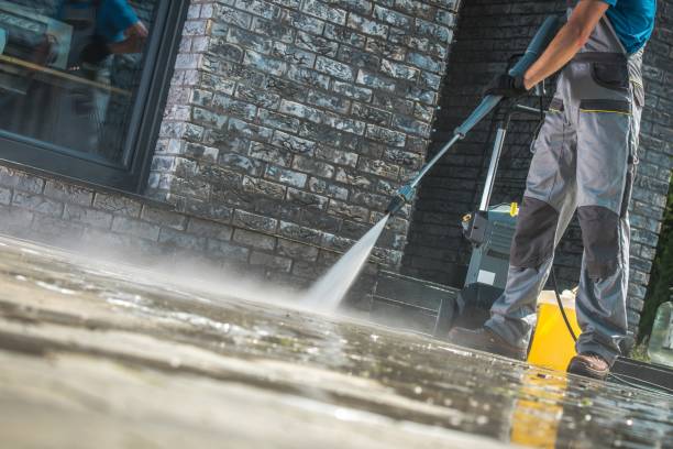Best Soft Washing for Delicate Surfaces in Olivia, MN