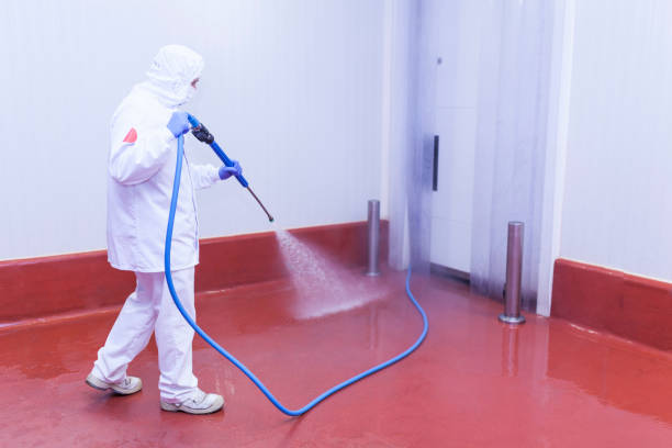 Best Driveway Cleaning and Restoration in Olivia, MN