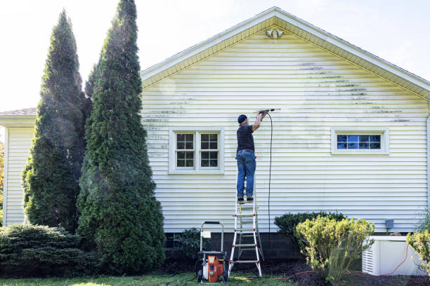 Best Deck and Patio Pressure Washing in Olivia, MN
